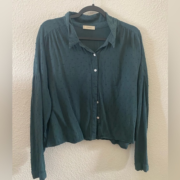 Forest Green Clip Dot Pattern Button Down Longsleeve Shirt Top Blouse - Picture 2 of 7